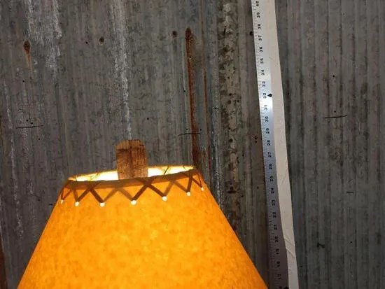 Raccoon Lamp Taxidermy Mount - Image 2