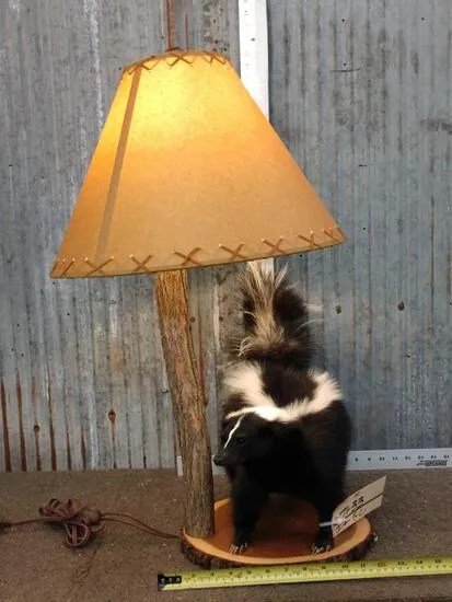 Skunk Lamp Taxidermy Mount - Image 3