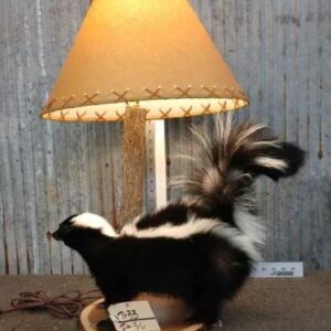 Skunk Lamp Taxidermy Mount