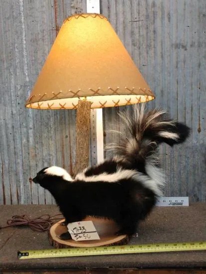 Skunk Lamp Taxidermy Mount