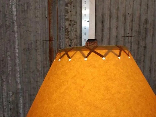 Skunk Lamp Taxidermy Mount - Image 4