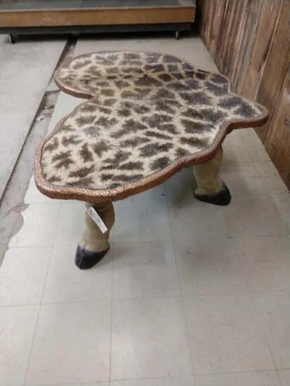 Giraffe Leg & Skin Coffee Table Taxidermy - Image 3