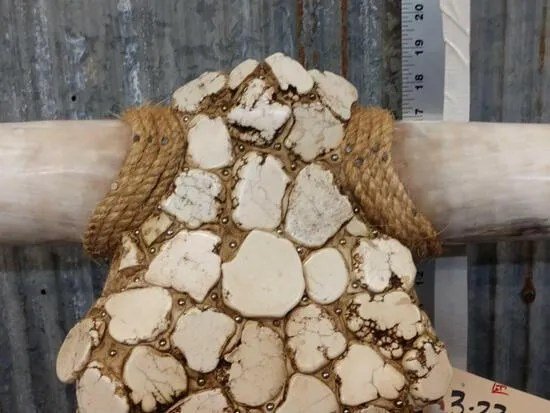 Texas Longhorn Skull Taxidermy - Image 2