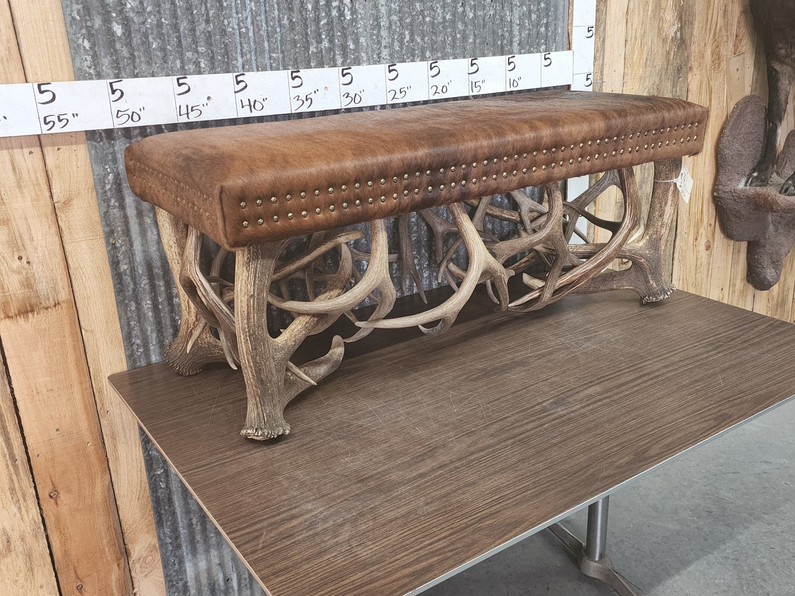 Cowhide and Antler Taxidermy Bench - Image 4