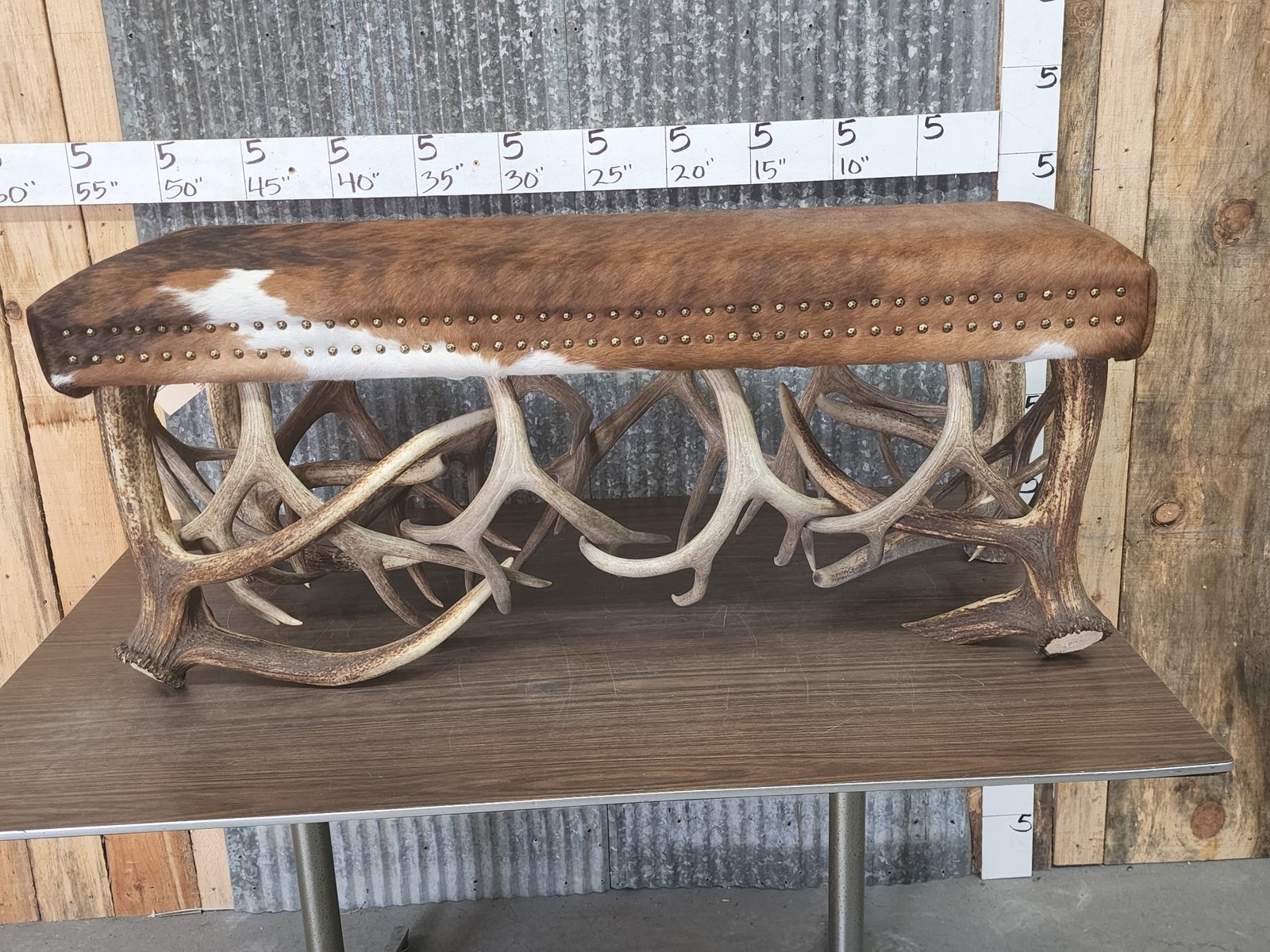 Cowhide and Antler Taxidermy Bench