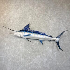 Striped Marlin Taxidermy Fish Mount